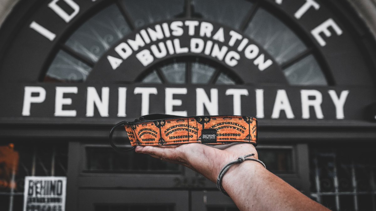 Beyond the Trail | Nicole tweet media