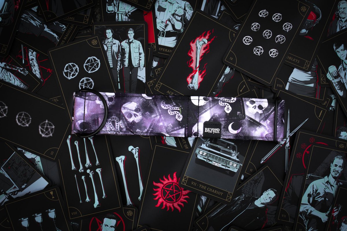 Beyond the Trail | Nicole tweet media