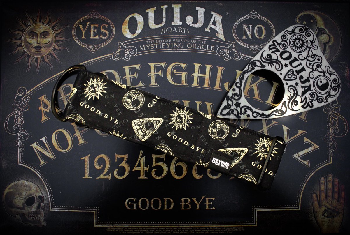 Beyond the Trail | Nicole tweet media