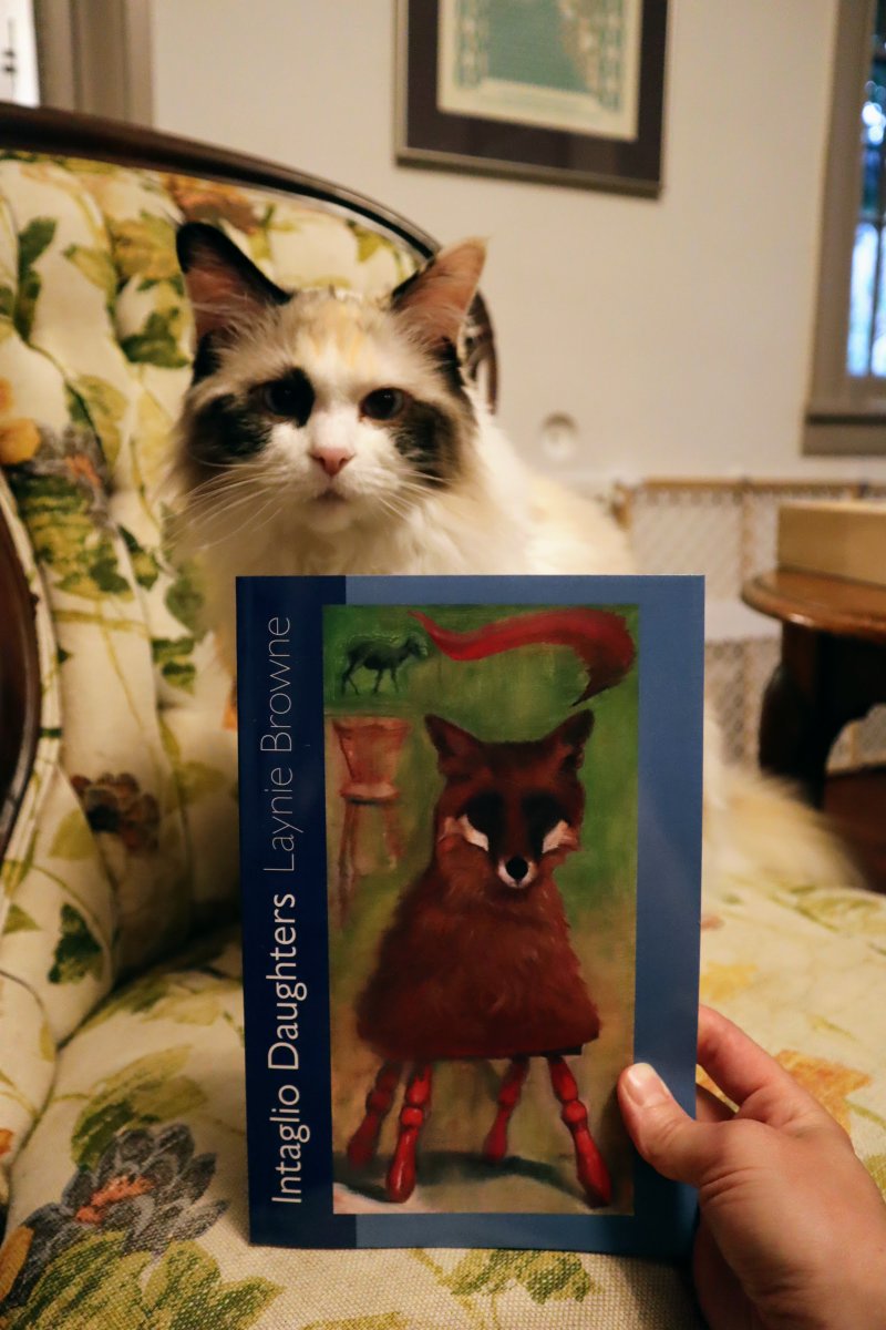 cmstancek's tweet photo. Laynie Browne's new book, INTAGLIO DAUGHTERS (@Ornithopterpoem) is absolutely dazzling, and I was honored to provide a blurb for it ✨🌻

Preorder INTAGLIO DAUGHTERS here! https://t.co/a6t3qEhMIX https://t.co/TA6NUkTauf