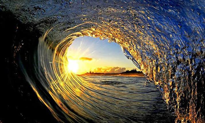 harrier55's tweet photo. @bytimbaker @PCFA Find joy. https://t.co/AU0CTyAbbI