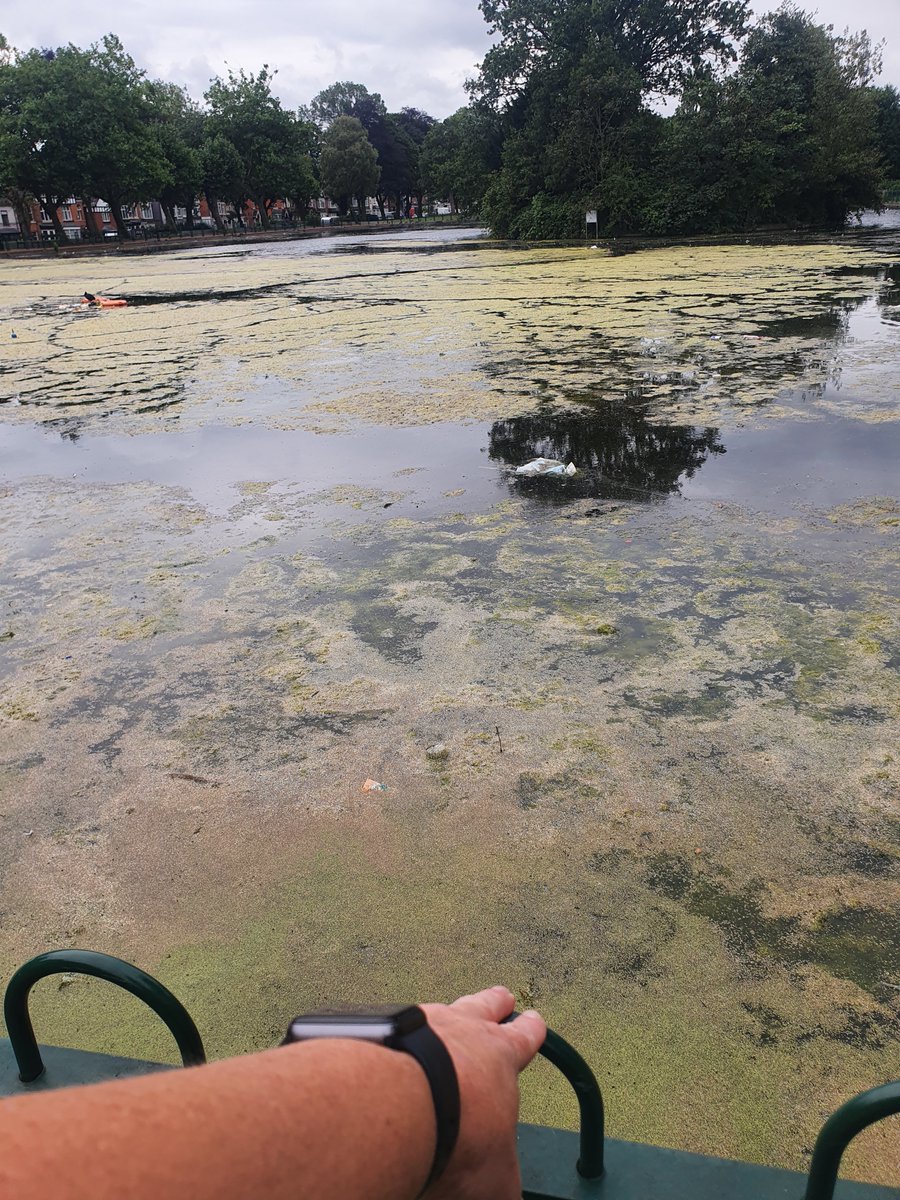 YardleyWMP's tweet photo. Now I'm in Smallheath Park ๐
Spoke to some lovely people #passingthetimeofday #smallheathstreetwatch #comeandjoinin #makingadifference ๐ฎ๐ผโโ๏ธ https://t.co/Qx1fiByKJa