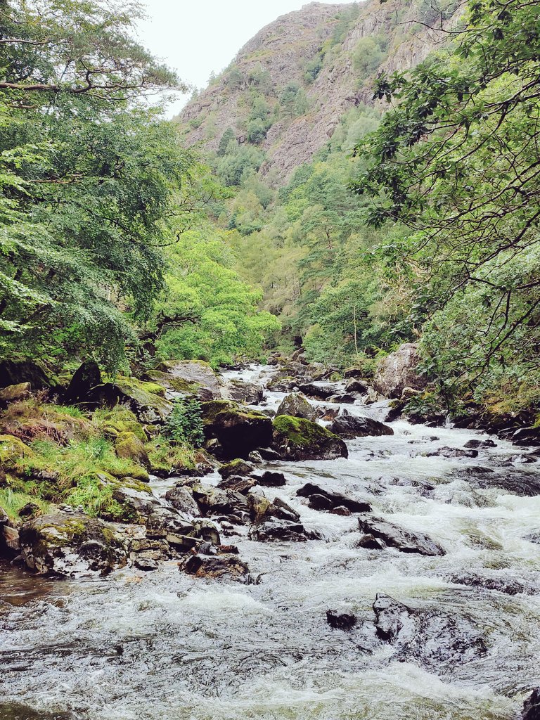 🌟 Just a month till term starts again in Cambridge!

🌳 Currently brainstorming dissertation ideas in beautiful North Wales...

#cambtweet