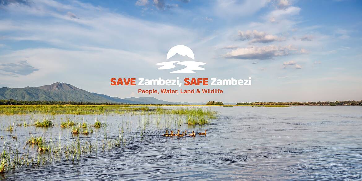 WWF Water 💧🐟 tweet media