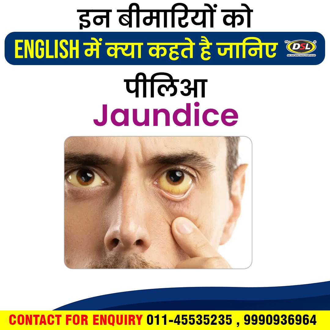 DharmendraDsl's tweet photo. ✌🏻Basic से Advance लेवल English पढ़ने, लिखने, बोलने और Exam Pass करने के लिए अभी डाउनलोड करें।
DSL English App https://t.co/mox2vw069Y
DSL Krantikari App https://t.co/AB2jbuKLNc
#EnglishGrammar #BasicEnglish
#AdvanceEnglish #EnglishSpeaking #DharmendraSirDsl #Dailyenglishword https://t.co/wX97KfnabR