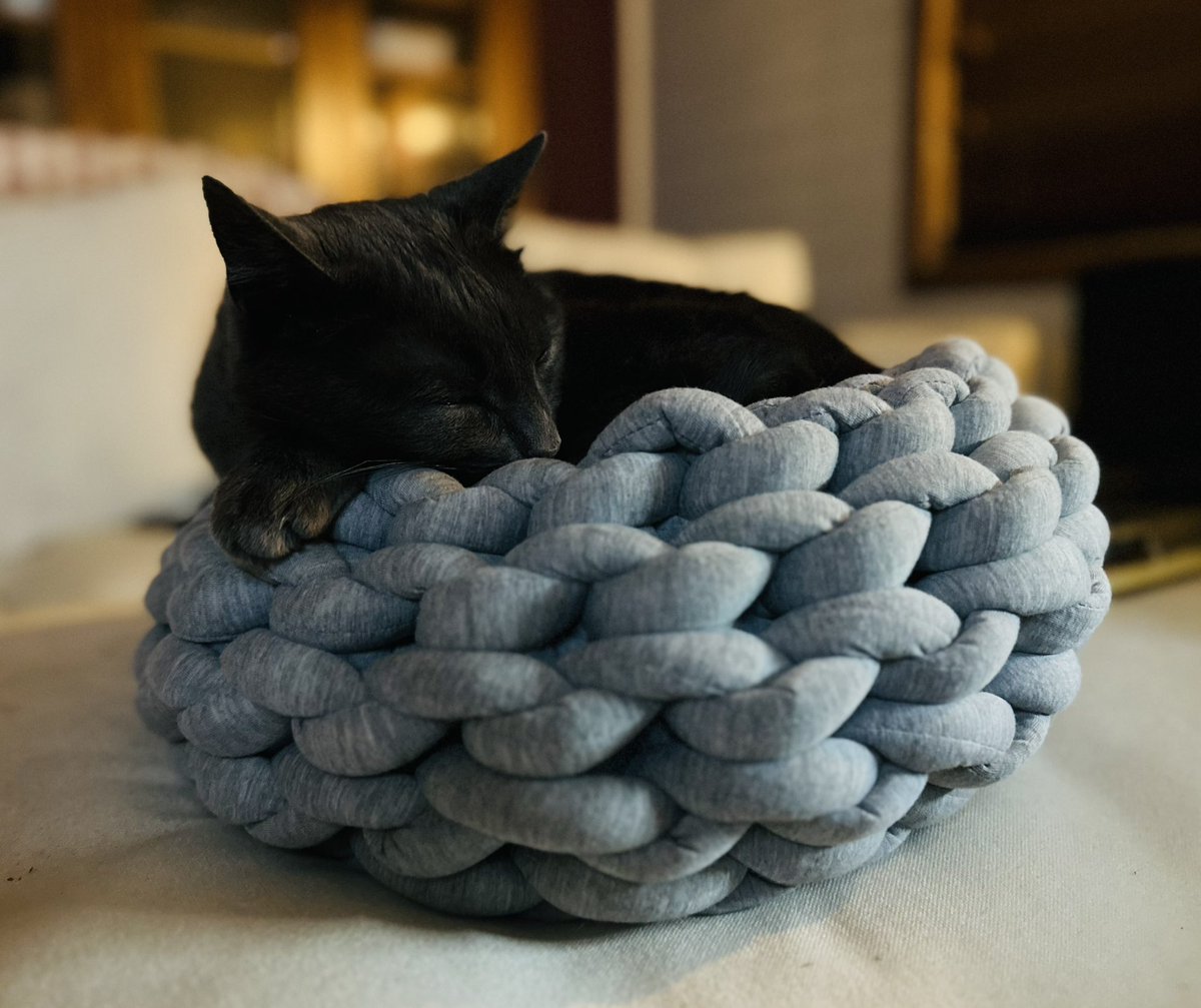 externallylaws's tweet photo. How does this fit into this?!! 🐈⬛#catfit https://t.co/tFzC25yhyJ