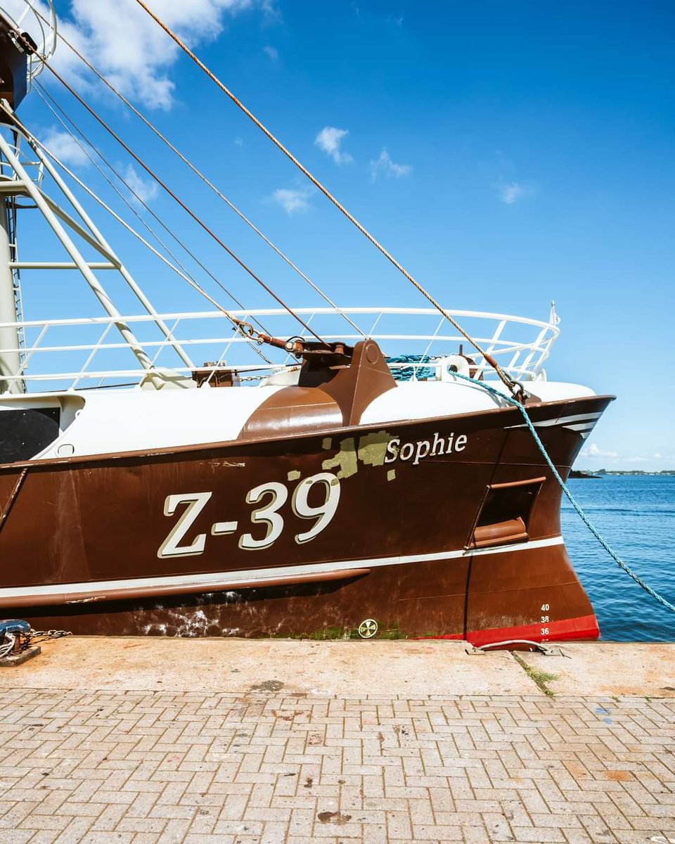 #BELGISCHE vlootvernieuwing in beeld bij scheepsbouwer Padmos; Z-39 Sophie, Z-98 Windroos en Z-53 Van Eyck.

Waar blijft de Nederlandse overheid met steun, duidelijkheid en dus #toekomstperspectief <a href="/minlnv/">Minlvvn</a> en <a href="/ministerlnv/">MinisterN_S</a>?