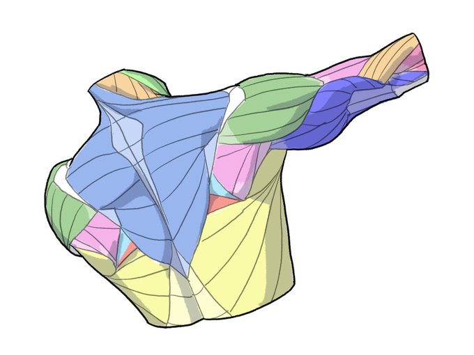 「伊豆の美術解剖学者@kato_anatomy」 illustration images(Latest)｜4pages