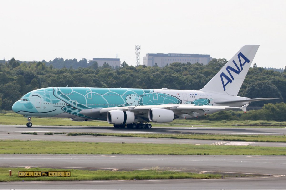 Wmineraru's tweet photo. 昨日の8/28は成田空港に遠征してました。フライングホヌとエミレーツA380見れてよかったです。747も来て楽しかった〜
#成田空港 #PJAA https://t.co/4sZRD1Hz5D