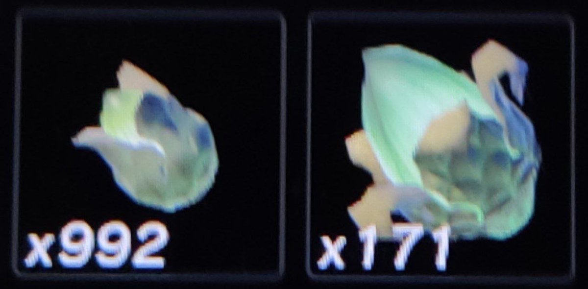 Mein Interesse am Untergrund in #ZeldaTearsOfTheKingdom in einem Inventar-Bild.