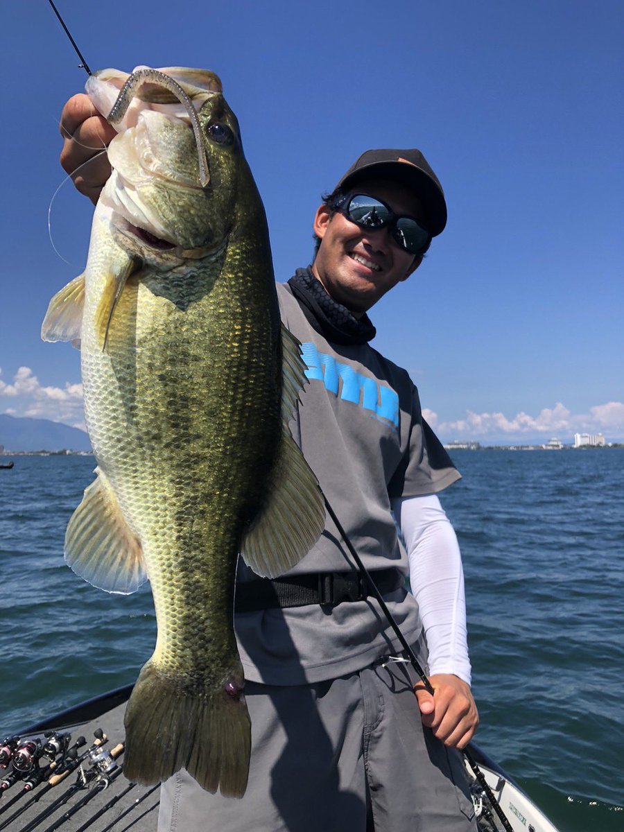 hanai_junpei's tweet photo. 土曜は同船させていただき琵琶湖へ🚤

きっちりラ���トリグ入れてやると連発でした‼️

具はトルキーストレート4.8inch 1.8gネコ🐈

厳しい時こそライトリグをきっちりやる大切さを再認識🤔

琵琶湖に出られる方はトルキーストレートのご準備を🫡

#DSTYLE #ディスタイル #トルキーストレート #琵琶湖 https://t.co/EIQvqbtlDm