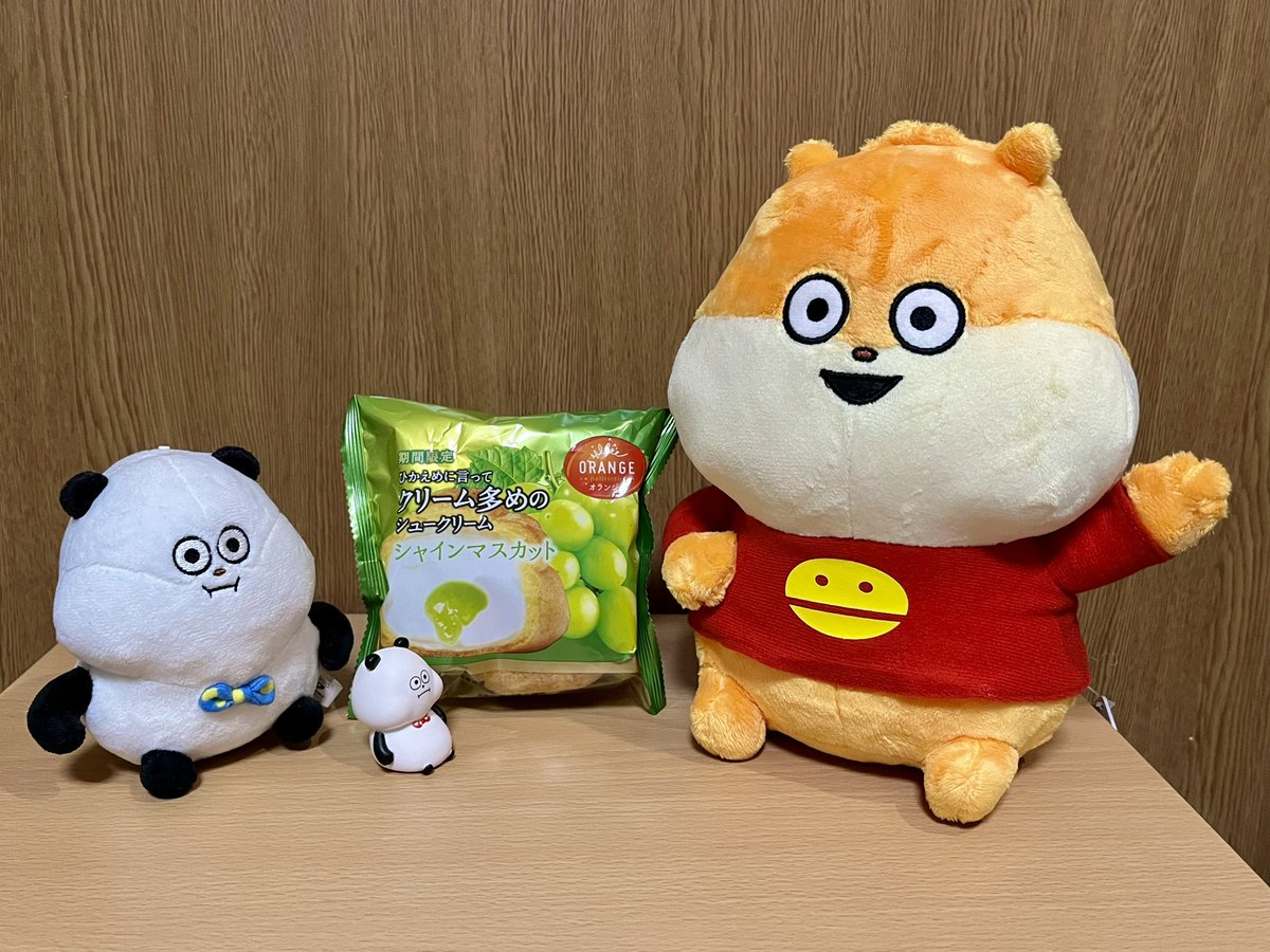おじさん家にもおでぶこねちゃんがやってきた😊 🐼🍙強敵が現れた気が