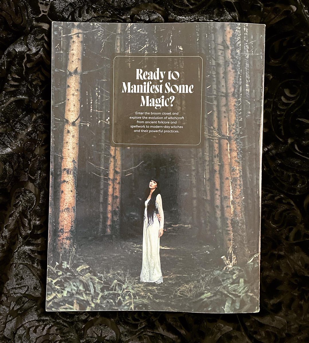 Dr Romany Reagan tweet media