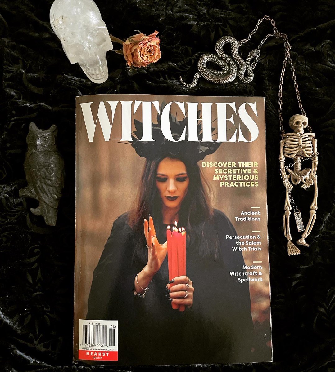 Dr Romany Reagan tweet media