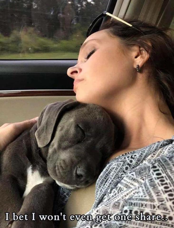 Rescued this puppy. This is how he slept the whole way home. 🥰