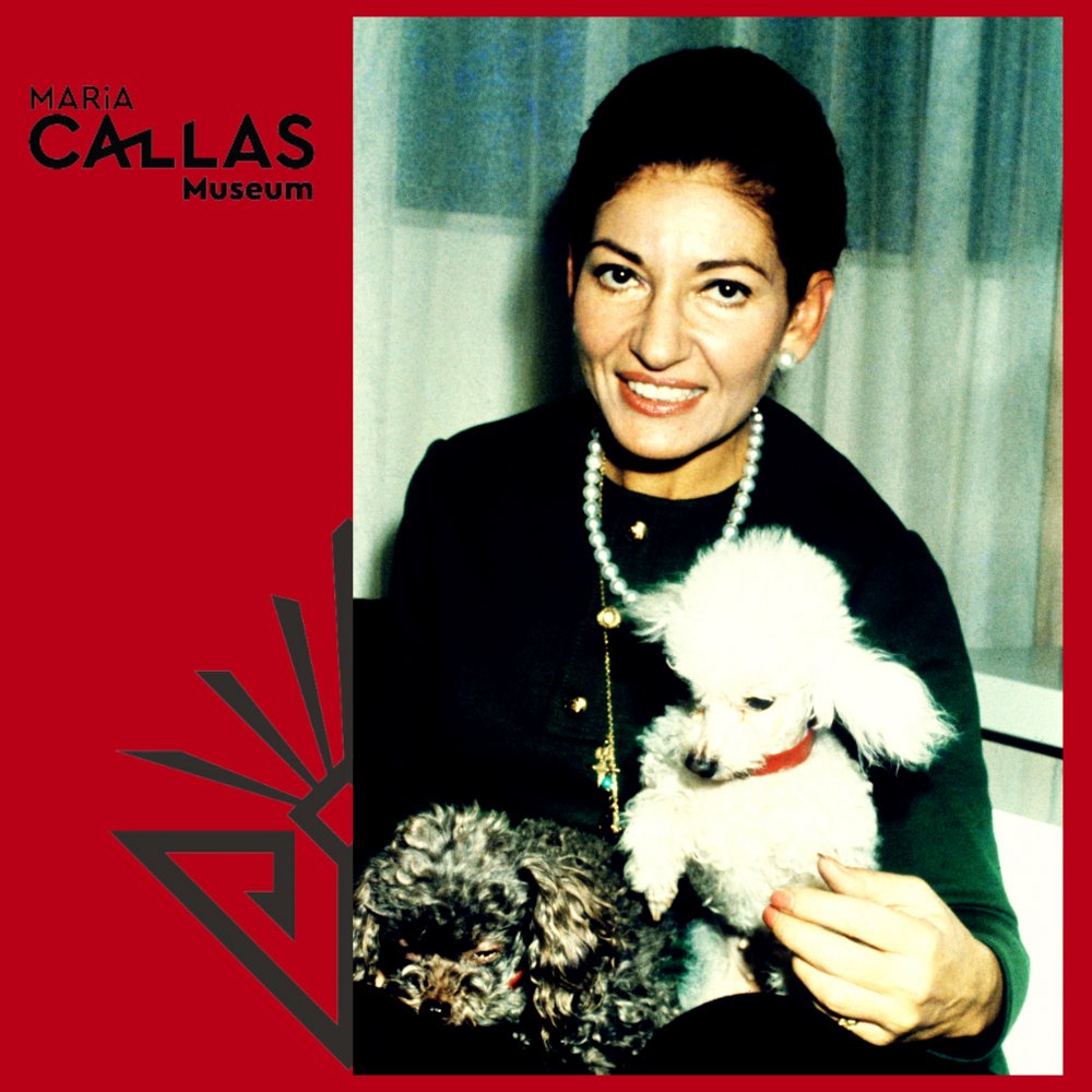 Maria Callas is a reference point in opera. The top Greek soprano of the 20th century emerges as an iconic figure in Greece, with the museum providing the opportunity to explore her work and her remarkable artistic journey.
#MariaCallasMuseum #MariaCallas #MariaCallasMuseumAthens