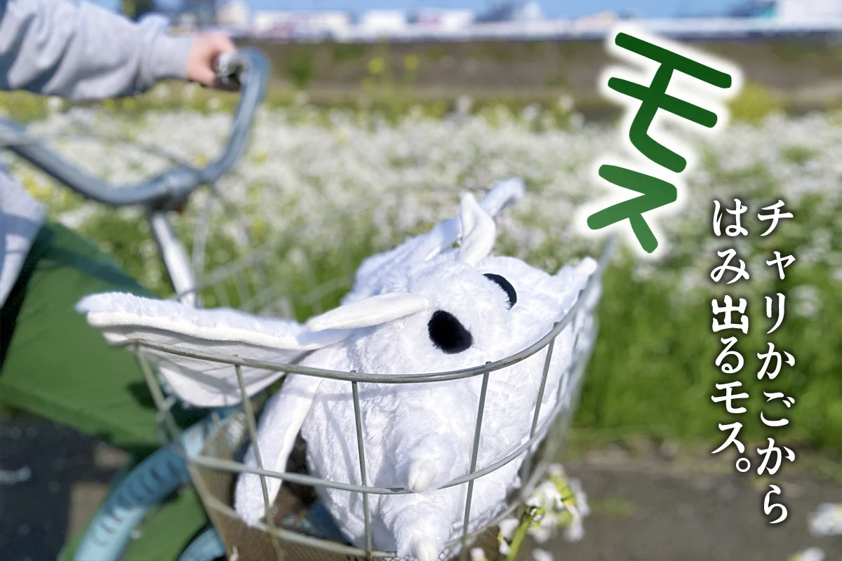 モスモスのモスSHOP (@moth_shop) / X