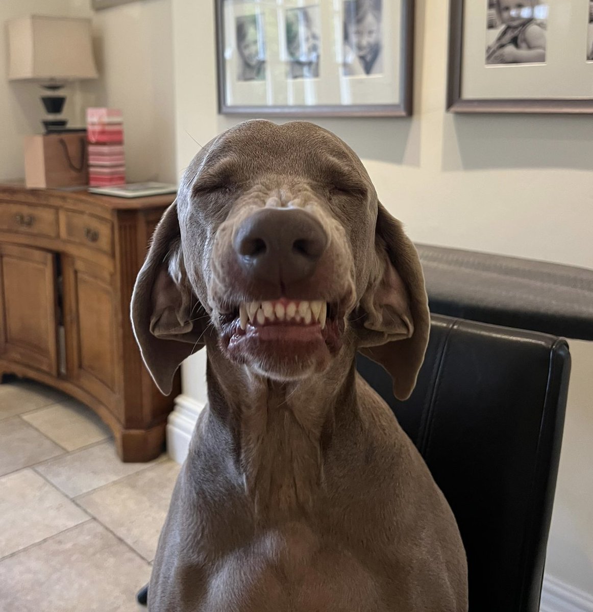 Natalie Wallis tweet media