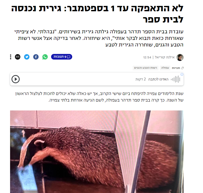 Inbalklein's tweet image. דווקא שם טוב למורה