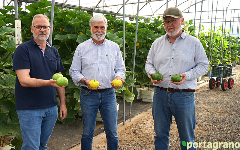 Portagrano's tweet photo. 📢📣Beyond Seeds y el Ifapa de La Mojonera sorprenden con #Zucchiolo, una nueva referencia para el invernadero
Leer más: https://t.co/OT6Pp3eb5V
#hortalizas #innovacion #Almeria #agricultura #Ifapa #BeyondSeeds #FundacionCellbitec https://t.co/BsHgVVprZr