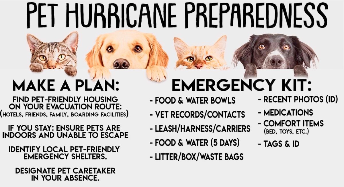 Petstablished's tweet photo. #HurricaneIdalia is picking up strength and is heading towards the state of #Florida. It’s important to make sure that your pets are prepared especially if you are forced to evacuate your home. Here are some great pet hurricane preparedness tips. https://t.co/izvM1m4Hal