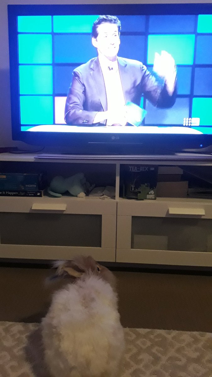 Ralph is glad mum is back to enjoy watching his favourite show and is also giving you a wave! @andytomlee 

#TheHundredwithandylee #tuesday #housebunny #tuesdaynight #channel9