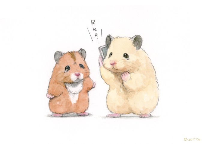 「hamster standing」 illustration images(Latest)