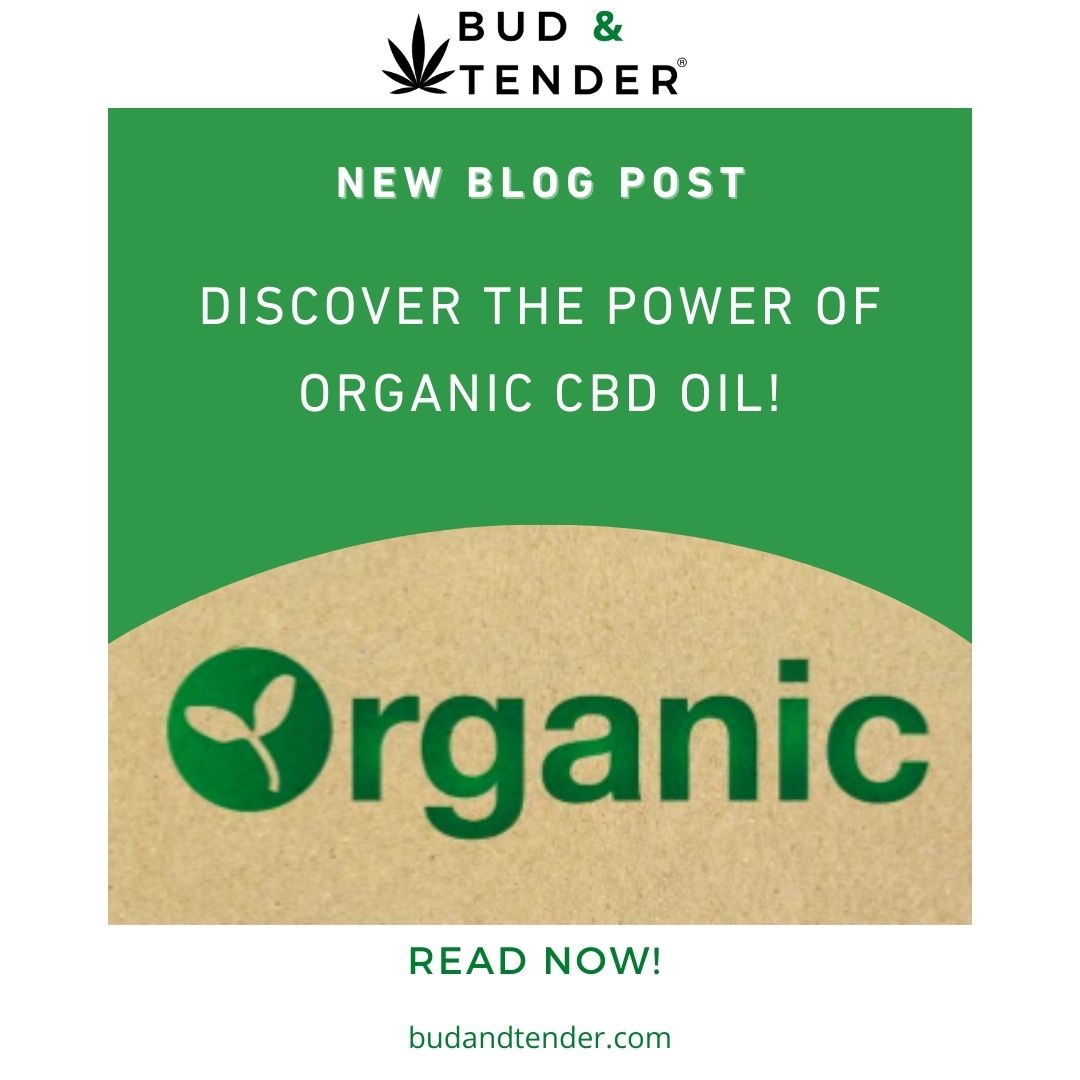budandtender's tweet image. ๐ฟ๐ฑ Discover the Power of Organic CBD Oil! ๐ฑ๐ฟ
Organic CBD oil is made from hemp plants that are grown without the use of synthetic fertilisers, pesticides, or genetically modified organisms. 
Link ๐budandtender.com/blog/best-cbd-โฆ
#OrganicCBD #PureNature #LabTested