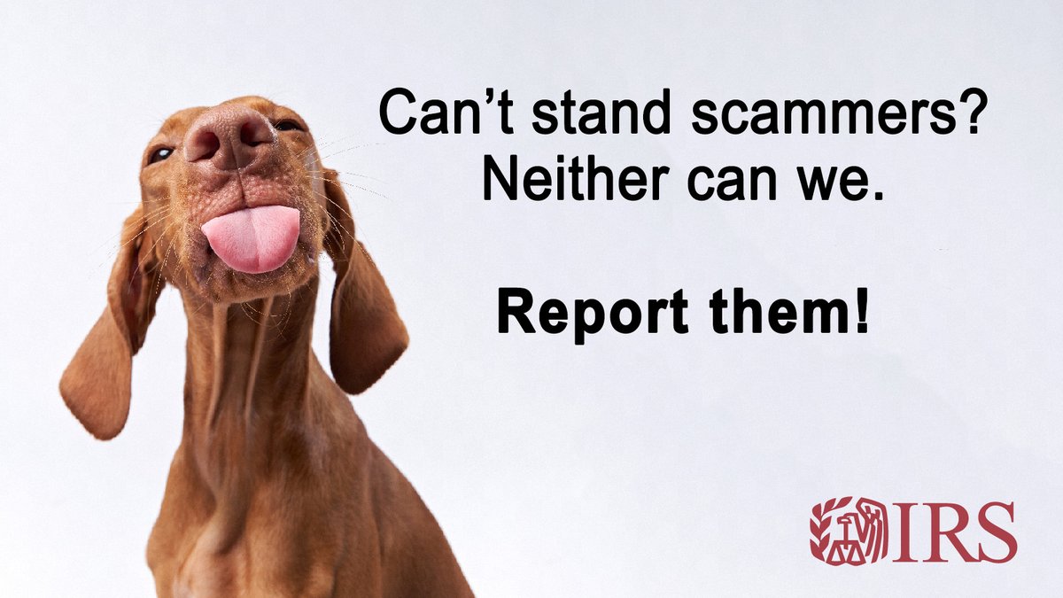Can’t stand those doggone scammers? If you become aware of an abusive tax scam, please report it to the #IRS: irs.gov/scams #TongueOutTuesday