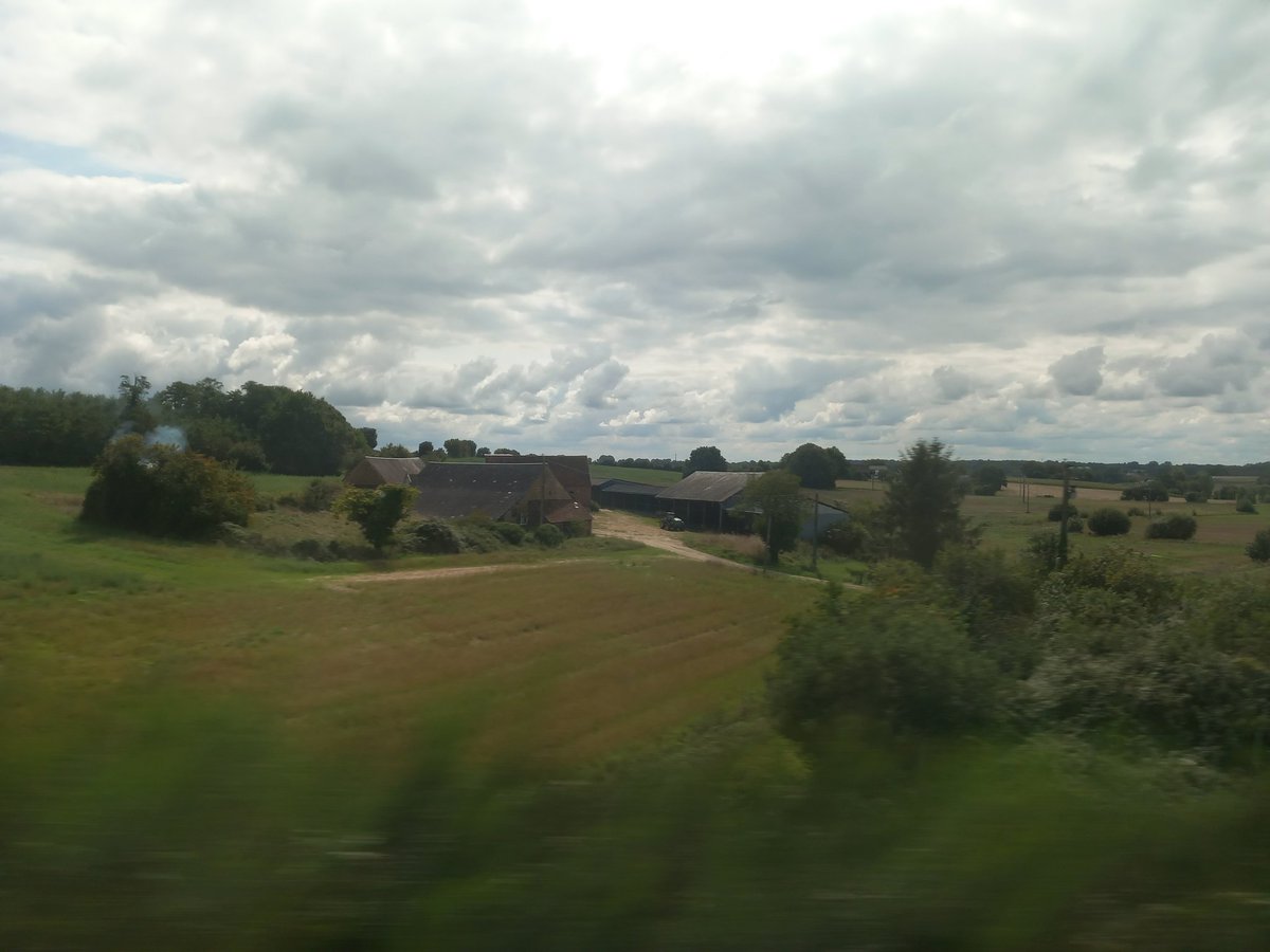 Simone Cerroni tweet media