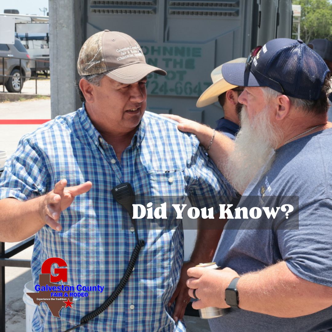 thegcfr's tweet photo. The Galveston County Fair is selling Fair memberships. With your membership you will recieve the admission pass(es) for the 2024 Fair and Rodeo and voting rights that give you a voice in our fair's future!! #gcfair #buynow https://t.co/aWRhHqNtx4