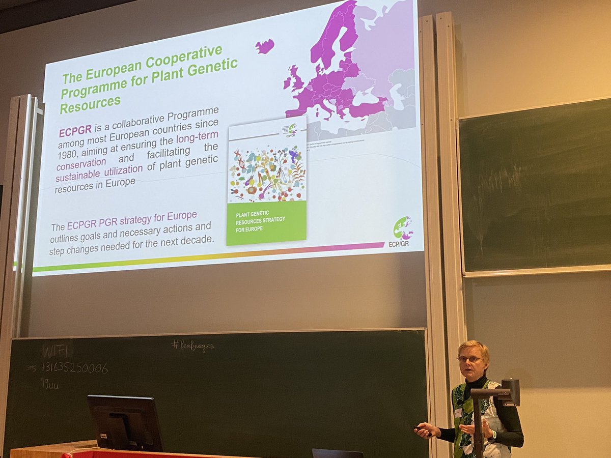 guidopmi's tweet photo. European Evaluation Network for genetic resources by @gosandrago #leafyveg23 today she is presenting the efforts on lettuce, in particular robust SNP genotyping panel. https://t.co/UwEEQJ8qZD