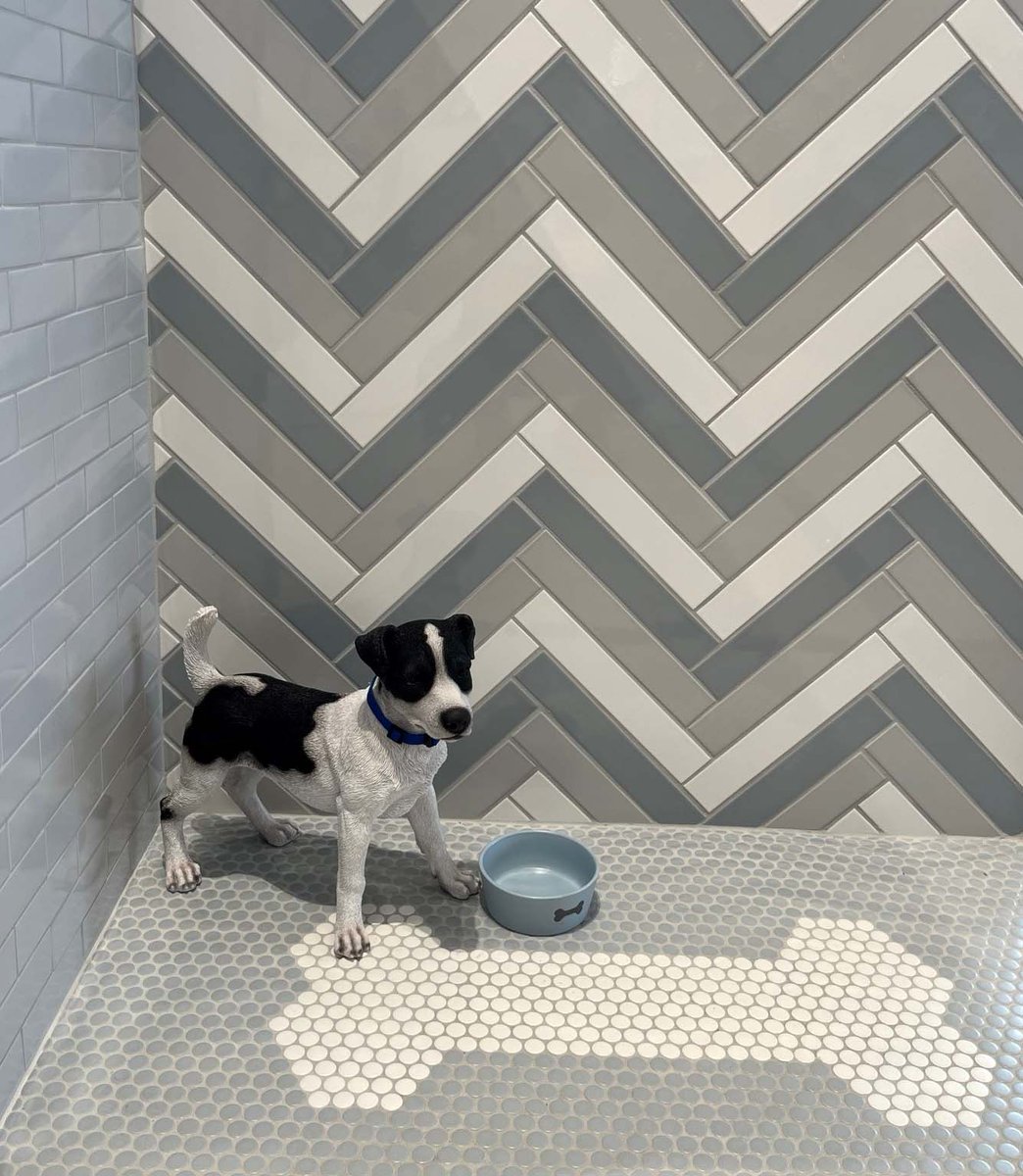 ArizonaTile's tweet photo. Available in six mosaics, plus a 2 x 12, and nine color options, S-Series makes a great choice for your next design. Click here for more information: https://t.co/aBJWc2tlOV
#arizonatile #tilelife #dogshowerideas https://t.co/UrlmNNuneN