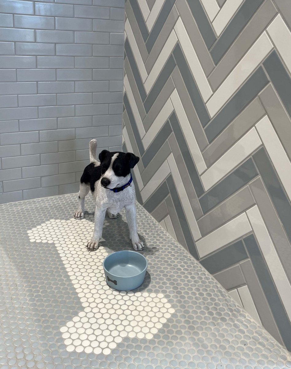 ArizonaTile's tweet photo. Available in six mosaics, plus a 2 x 12, and nine color options, S-Series makes a great choice for your next design. Click here for more information: https://t.co/aBJWc2tlOV
#arizonatile #tilelife #dogshowerideas https://t.co/UrlmNNuneN