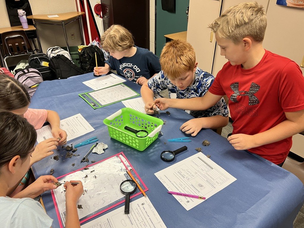 HumbleISD_WCE's tweet photo. At WCE, our 5th-grade students have been dissecting owl pellets for their science class! I think the smiles say l how excited they are while learning! https://t.co/BkxUdHI7rV