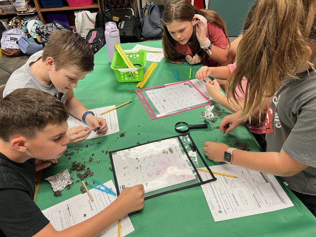 HumbleISD_WCE's tweet photo. At WCE, our 5th-grade students have been dissecting owl pellets for their science class! I think the smiles say l how excited they are while learning! https://t.co/BkxUdHI7rV