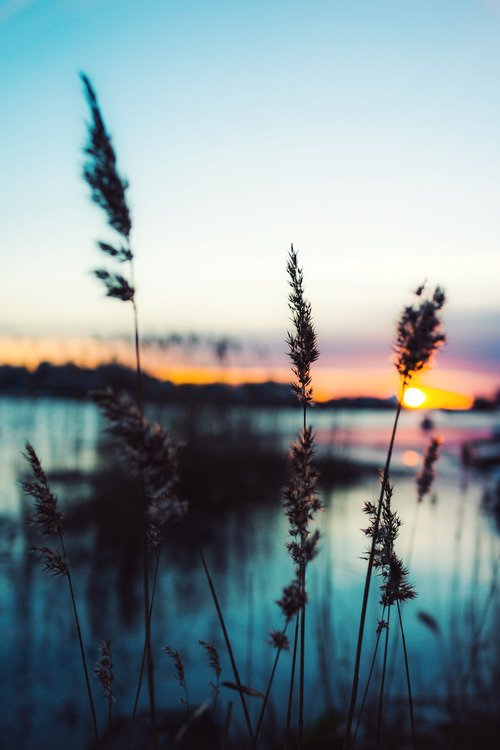 AnaBolena33's tweet photo. "Afortunadamente
siempre existe otro día.
Y otros sueños. Y otras risas.
Y otras personas. Y otras cosas."
(Clarice Lispector)

© Dženeta Mathers https://t.co/MWox2WMolb