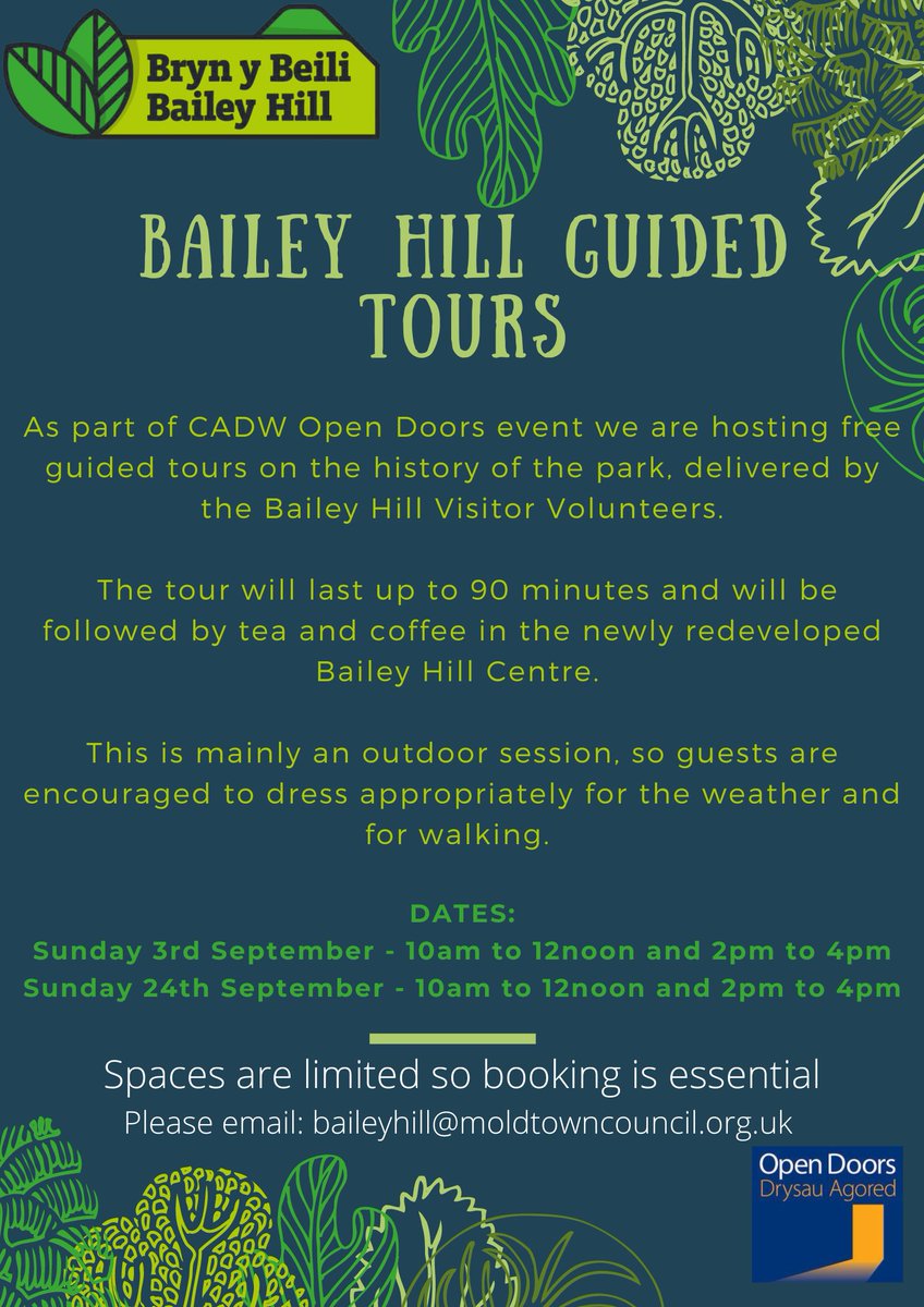 Spaces are still available for this weekends - FREE Guided Tours taking place on Sun 3rd Sept.
We have a morning and afternoon session available: 10- 12 and 2-4.
To book email: baileyhill@moldtowncouncil.org.uk with your name, email, time preferred and number of spaces requesting