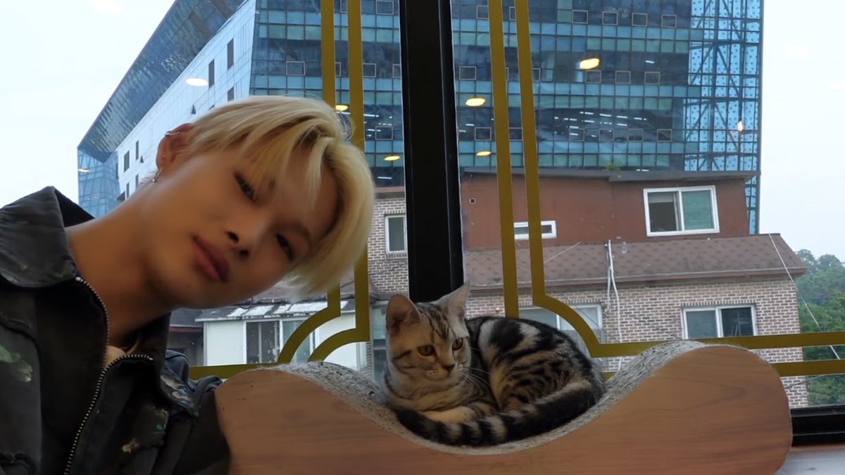 ksnmura's tweet photo. ni-ki with cats https://t.co/y0hM3NBvSU