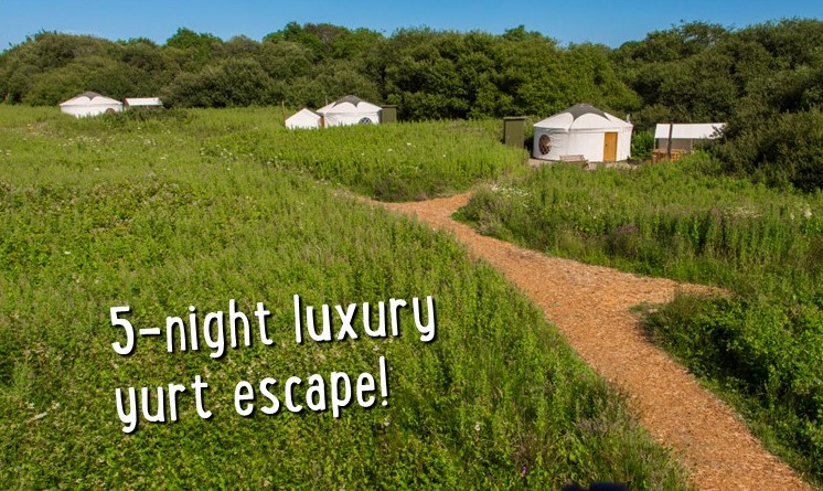 Florence Springs Luxury Lodges & Glamping tweet media