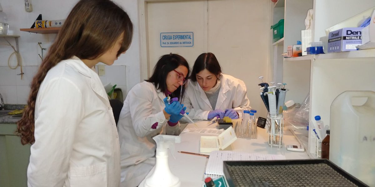 El día a día de una unidad ejecutora de <a href="/CONICETDialoga/">CONICET Dialoga</a> La Dra. Fabio <a href="/CarolinaFabio2/">Carolina Fabio</a> enseña en nuestro lab técnicas de imunohistoquímica -para hacer visibles células en cerebro- a Paloma, tesinista de <a href="/FacultadPsi_UNC/">Facultad Psicología</a>, y Julieta, becaria <a href="/CINoficial/">CIN</a>, todo pasa en <a href="/InstFerreyra/">Instituto Ferreyra</a>