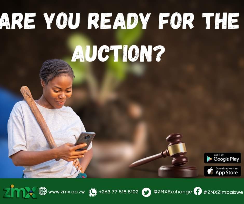ZMXExchange's tweet photo. Get ready for tomorrow's auction by ensuring your commodities are accepted into ZMX registered warehouses!
#AuctionReady
#ZMXauction https://t.co/lmavLvovpC
