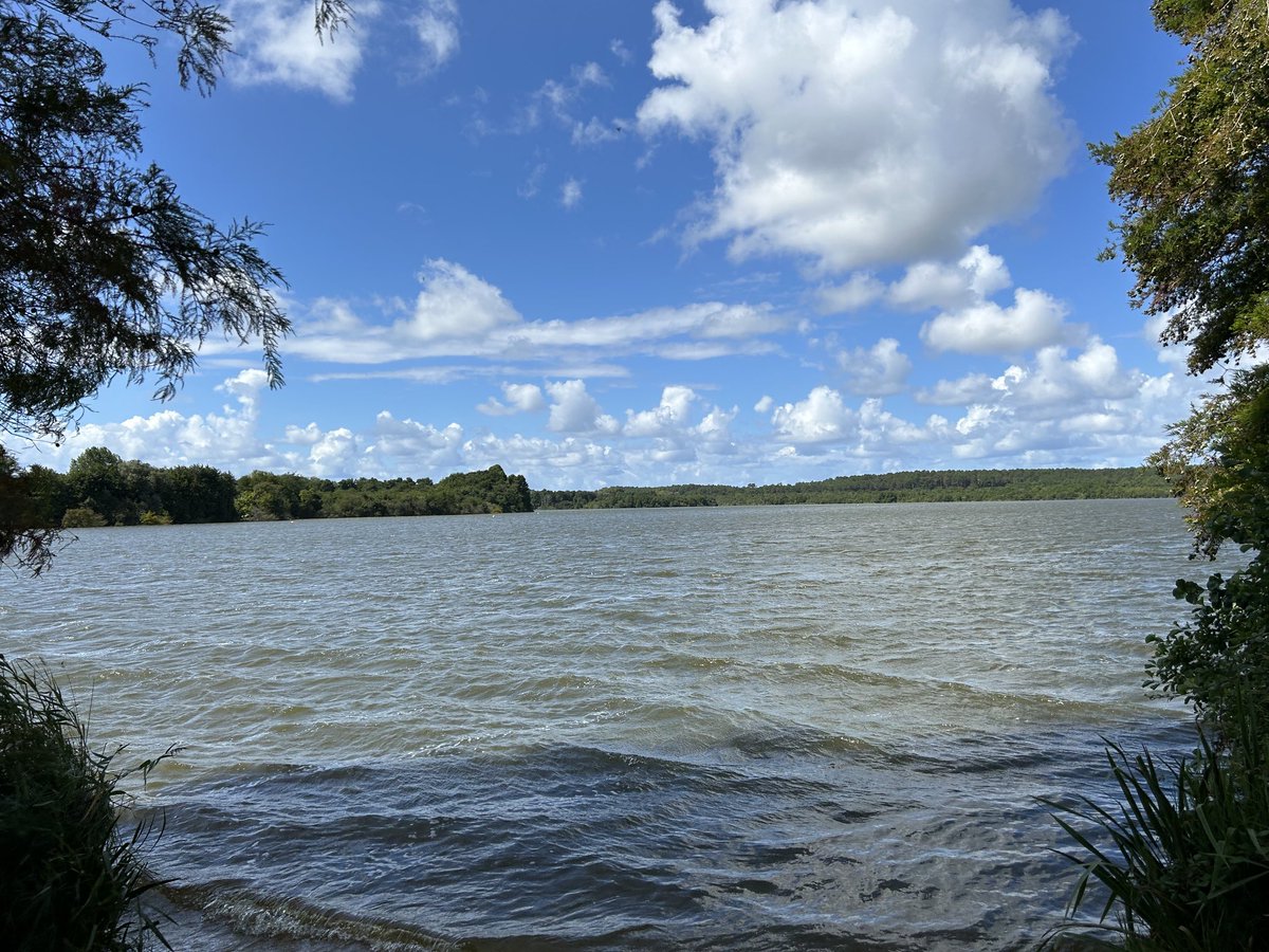 Nick Platt tweet media