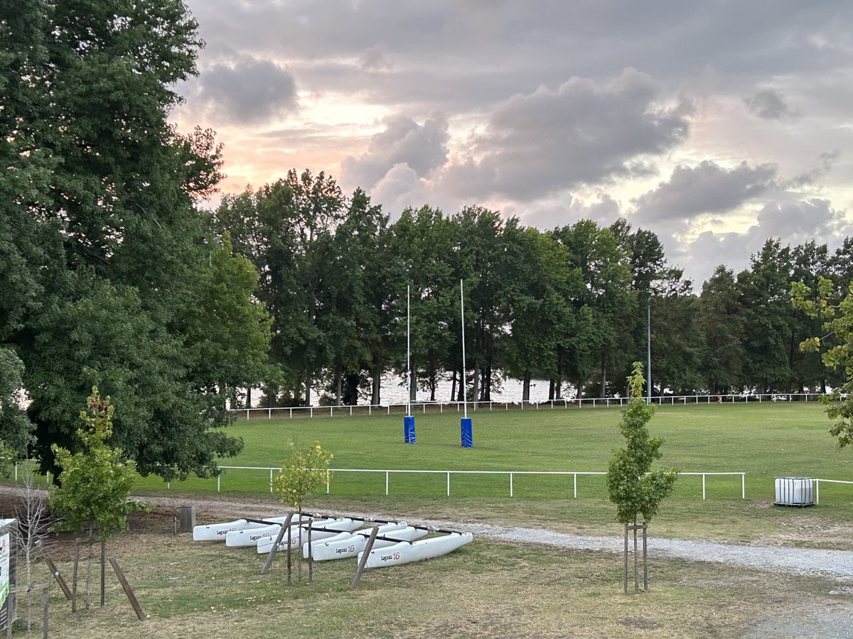 Nick Platt tweet media