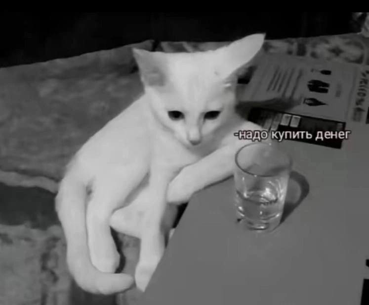 RussianMemesLtd's tweet photo. - I need to buy money https://t.co/zTsigWjHWL