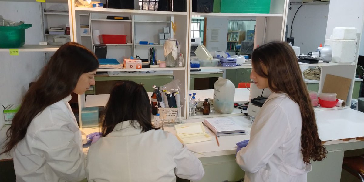 El proyecto de <a href="/CarolinaFabio2/">Carolina Fabio</a> , que también es docente de <a href="/FacultadPsi_UNC/">Facultad Psicología</a>, se aboca a analizar como alteraciones de serotonina en el embarazo --por ej., por depresión materna-- afectan el desarrollo. #conicet #cienciaentuvida #Argentina
