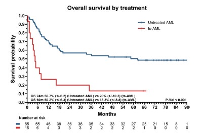 DrHKantarjian's tweet photo. Now out in @Ajhematology reporting Ph II trial of CLIA +/-Sorafenib in newly diagnosed #AML.  With a median F/U of 76 months, CR/CRi Overall was 83% (74% MRD neg) &amp; 4-yr OS of 57%; Among FLT3-ITD, CR/CRi was 95% (81% MRD neg), w/ 5-yr OS of 59%. https://t.co/clYbZAqKSf @TapKadia https://t.co/Mzo9SJhqZH
