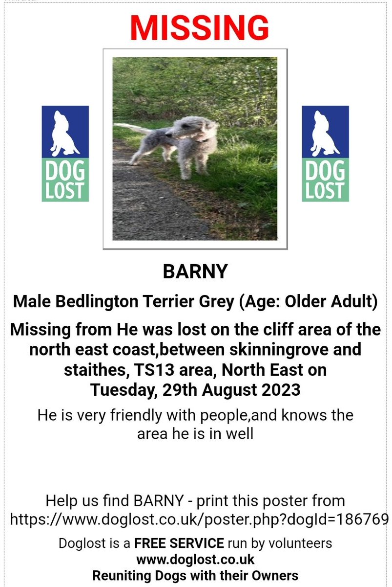 MissingPetsGB's tweet photo. URGENT older Bedlington Terrier BARNY went missing lost on the cliff area of the north east coast, between Skinningrove and Staithes #NorthYorkshire #TS13 on 29 Aug 2023

He is very friendly with people,and knows the area he is in well. https://t.co/w47TuzwkpT https://t.co/e5bXDul9Ta