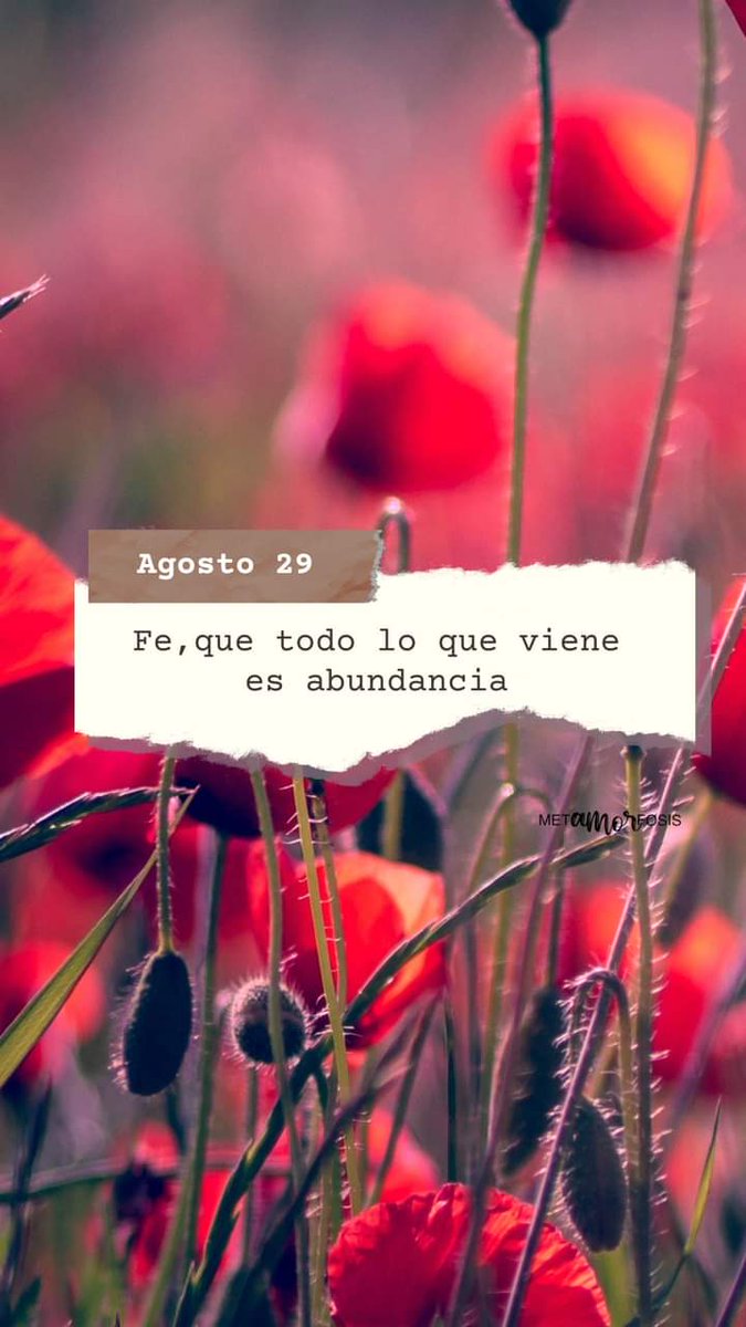 Brenda_MSantiba's tweet photo. @SilviaRosasNiet @bolorosales_3 @YesiquieR @Rosalva60427019 @sarais_perez_vi @bettyresendizg https://t.co/oDnYDBQdbV