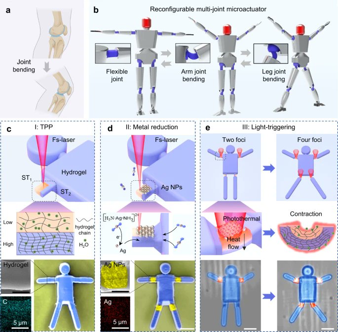 Femtosecond laser micromachining technique spawns "dancing" robots:

lasersystemseurope.com/article/femtos…

<a href="/USTCGlobal/">USTC Global</a> #Ultrafast #Robotics #Micromachining #Sensors
